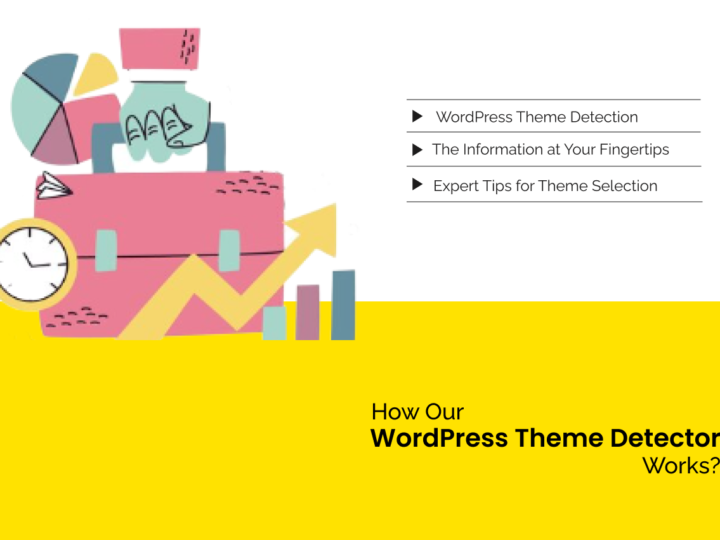 How Our WordPress Theme Detector Works?